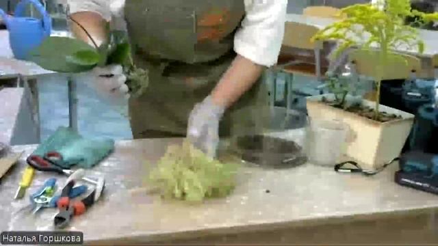 Московский детский чемпионат 