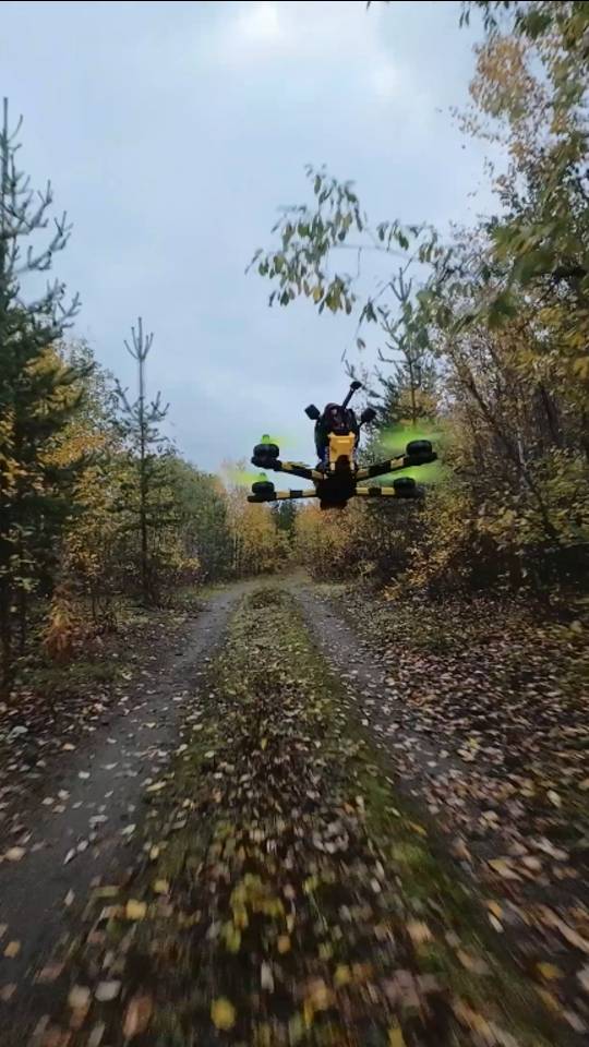 Тренька Дорожка