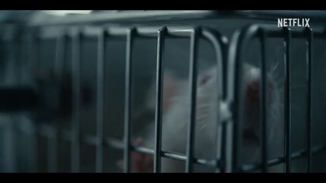 Алиса в Пограничье 3 сезон