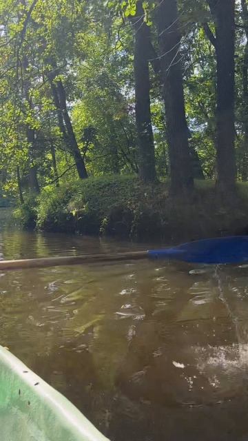 Катание на лодочке по прудам Елагина острова в Санкт-Петербурге