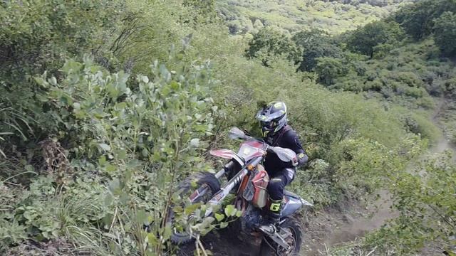 Проехали ТВ 18.09.2025