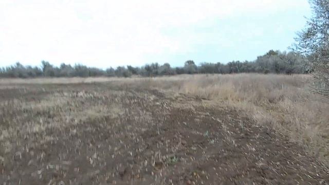 Открытие охоты 2024 2025 на зайца