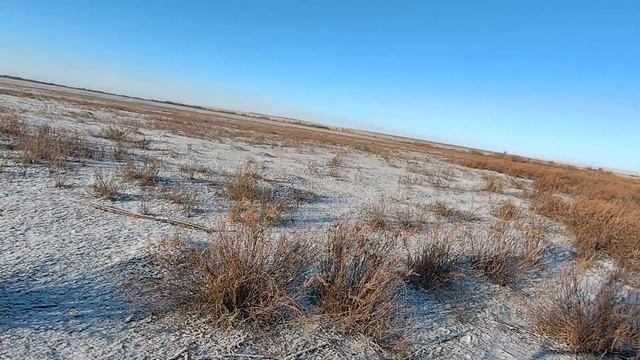 Охота на зацев  2024 2025