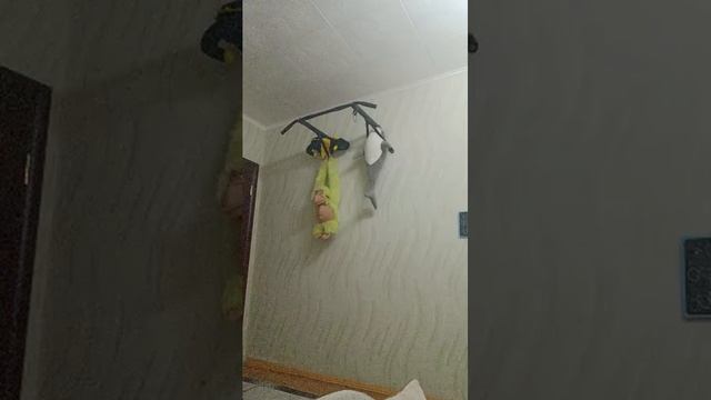 играем в Roblox