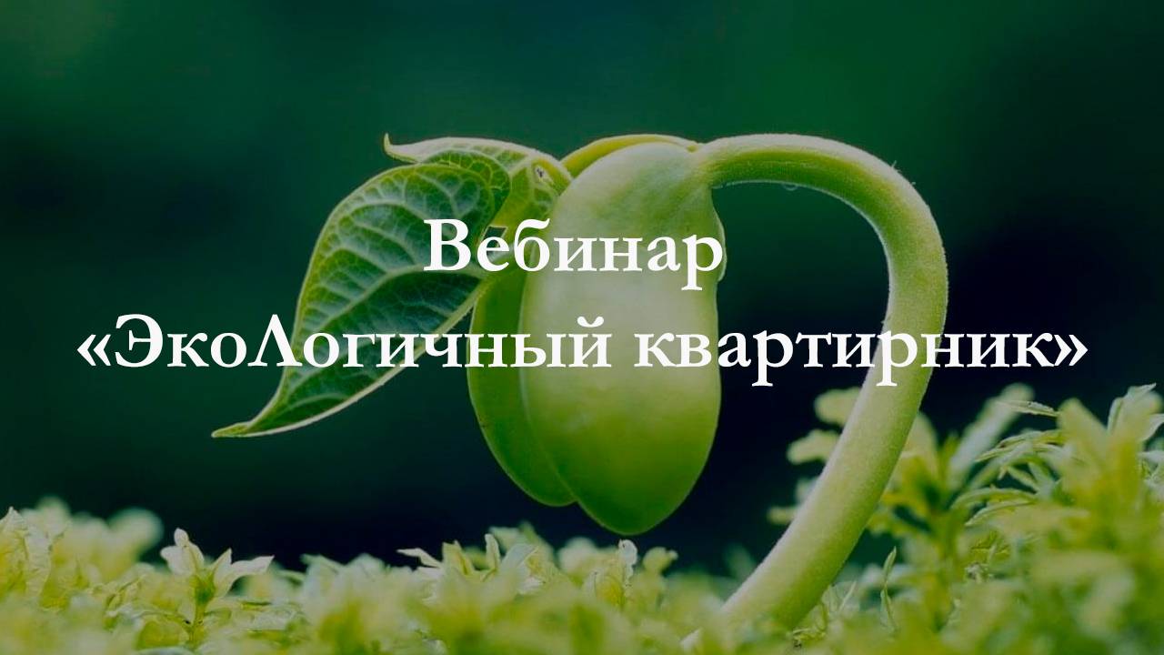 Вебинар 