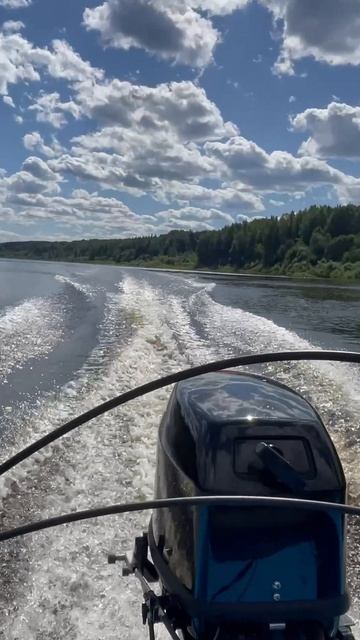 F5e3cbf7ca48c73279c0e68e557eb3ab