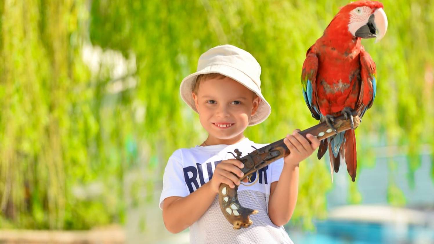 Турция часть 2 ШОУ