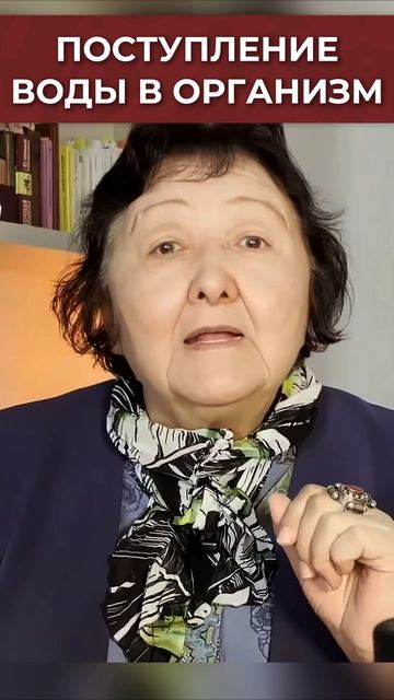 Как вода поступает в организм