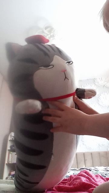 кот сосиска