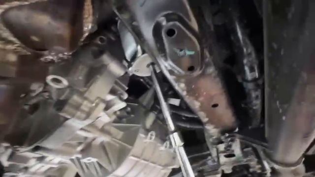 АККОRA продлит жизнь li