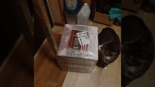 Бензокоса_Тайга_БГ4300