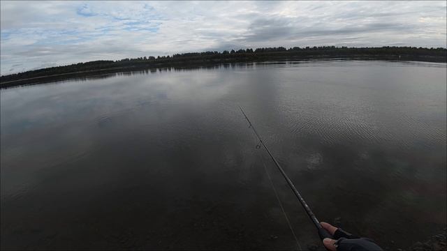 Осенний жерех на пилькер.  Закрыл сезон по жереху! 🍁🍂🎣