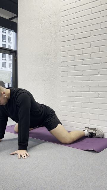 Лягушка у стены