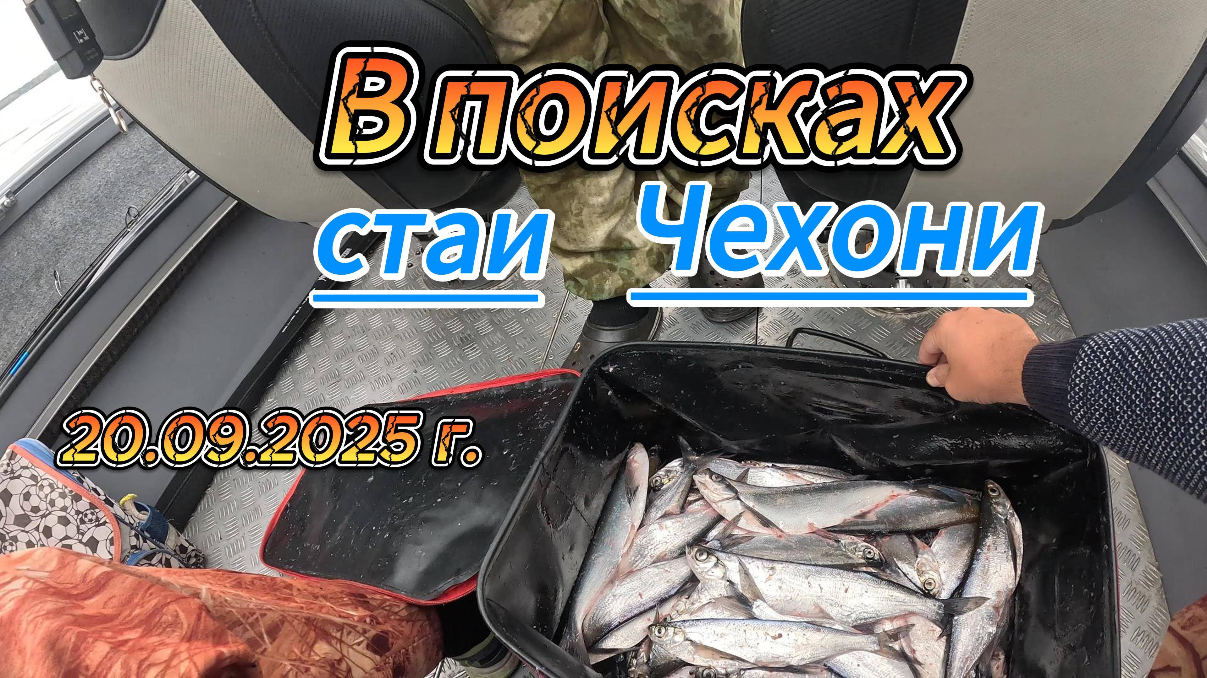 3ac8ae9e6890e1992518913c58fa2941