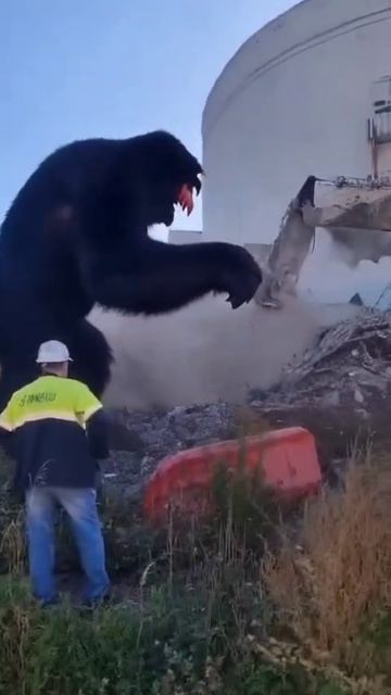 Кинг-Конг против разрушения кинотеатра Энтузиаст