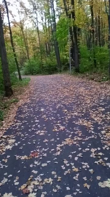 Тренировка 22 09 2025