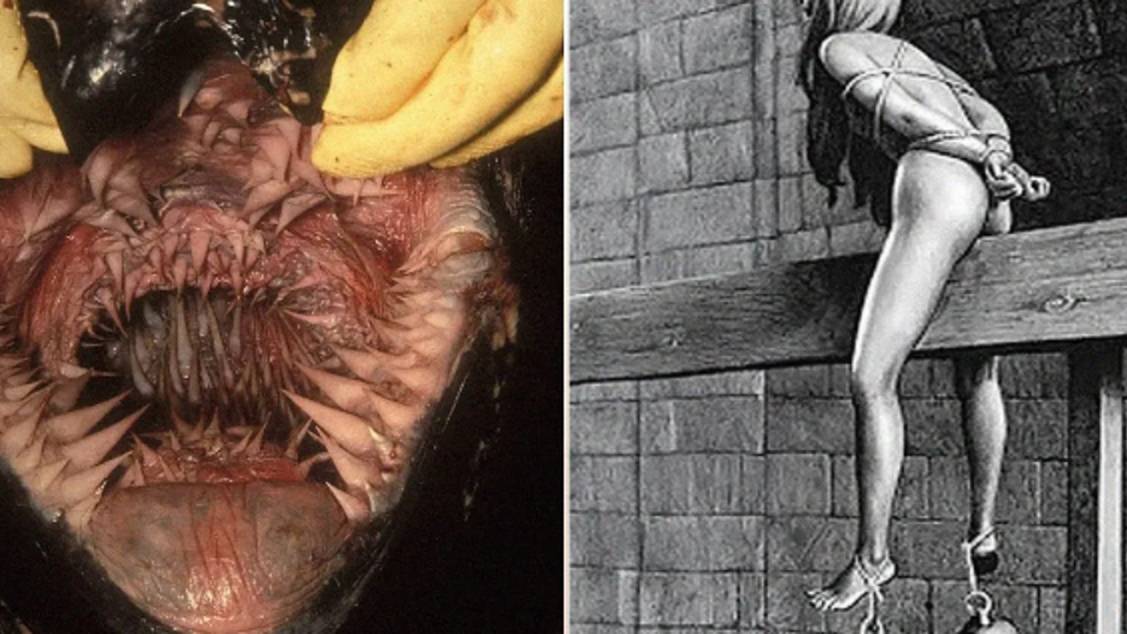 Эти ЗАПРЕЩЕННЫЕ Фото РАЗРУШАТ Ваше Представление об Истории