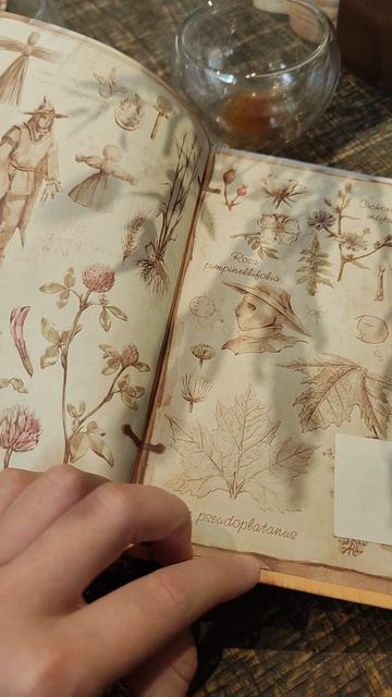 Read из стали и соломы.mp4