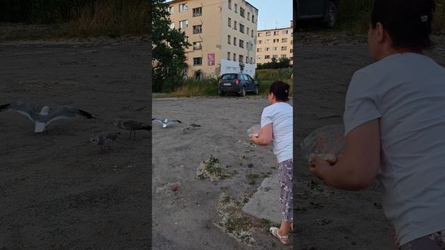 Александр О.