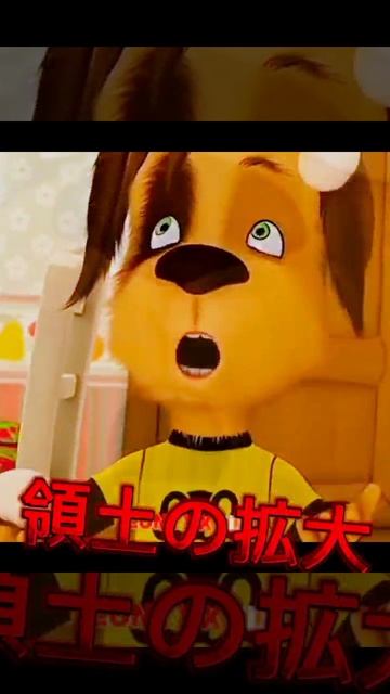 дружок прайм