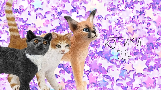 обзор на коллекцию кошек:3