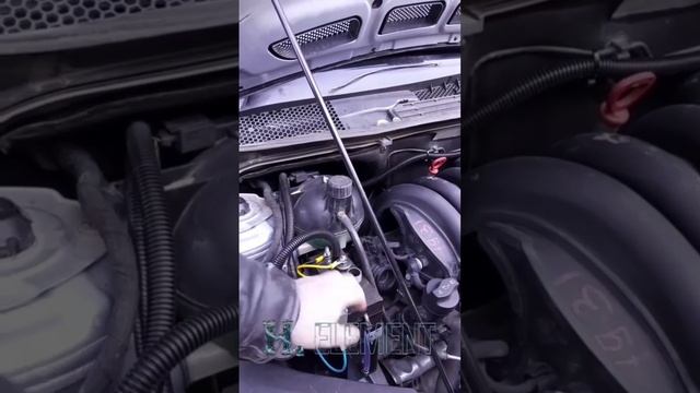 H2 ELEMENT| Джашарбек