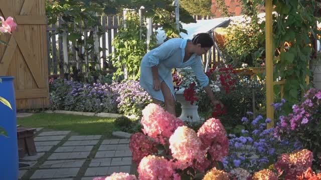 Ольга 1972 года