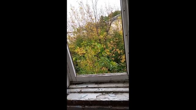 делаем комнату в заброшке