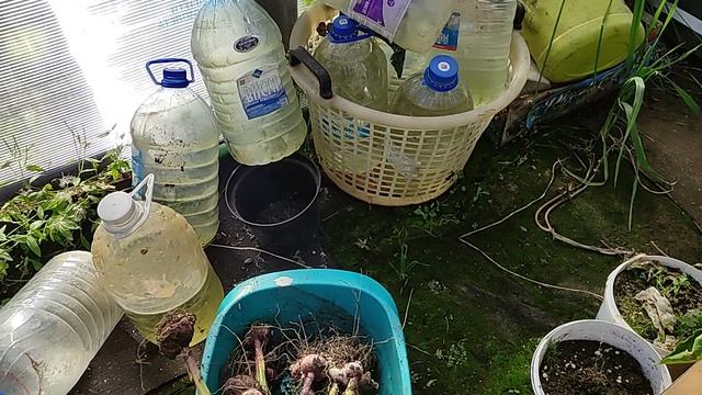 садовый участок на 23.09.2025. Свердловская область Среднеуральск