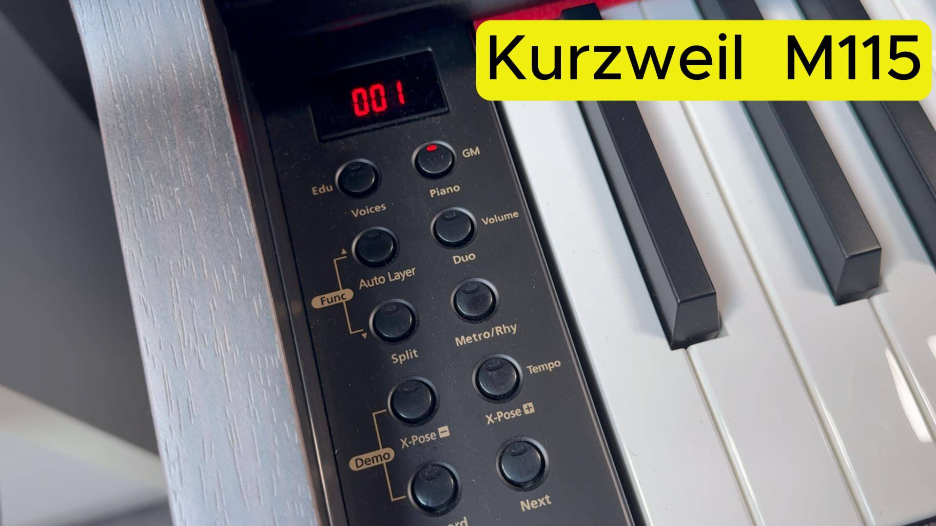 КОРЕЙСКОЕ КАЧЕСТВО! Kurzweil M115 | Vismedia | Висмедиа | Самый крупный клавишный салон