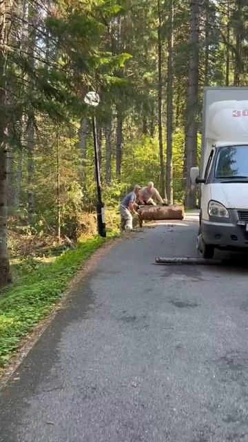 Сделаем лес чище и безопаснее! (23.08.2025)