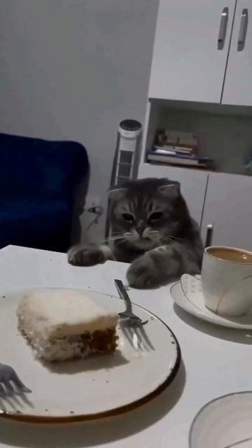 Когда ты на диете))