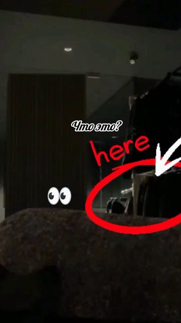 Что это было? Ваши предположения?