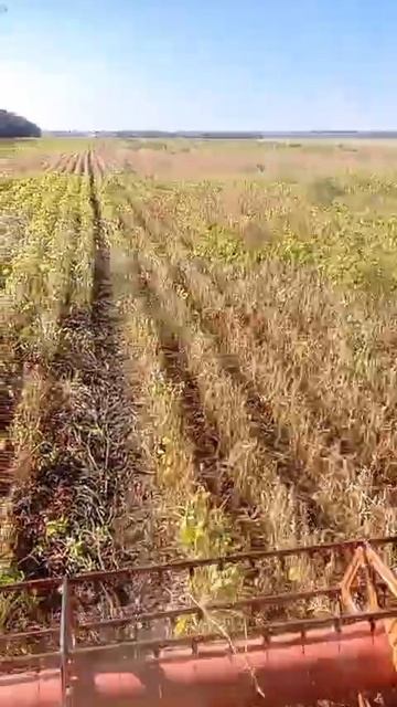 VID-20250924-WA0000.mp4