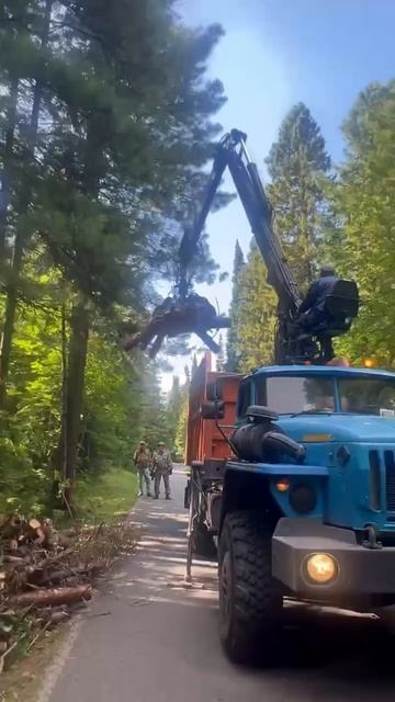 Субботник Долина ручьев (08.08.2025)