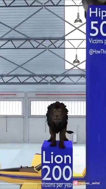 LOS ANIMALES MAS PELIGROSOS