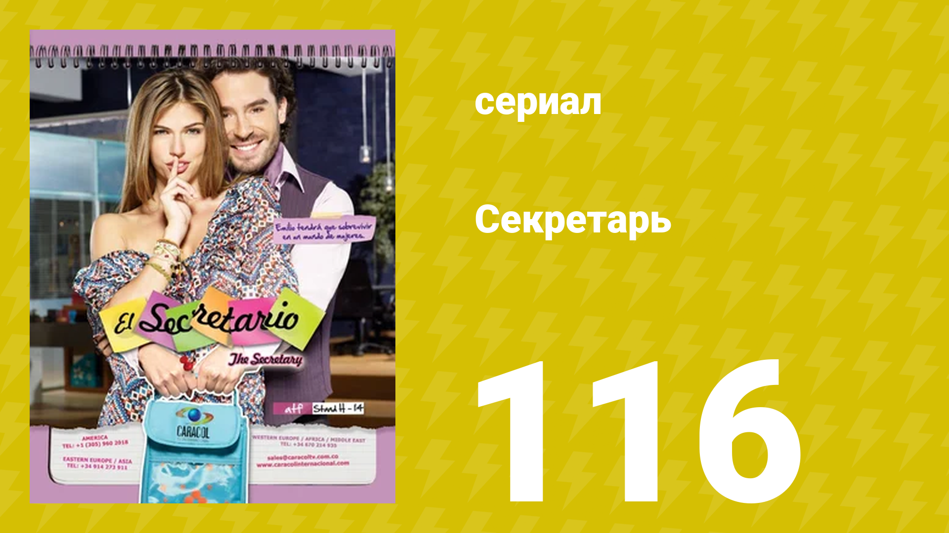 Секретарь 116 серия (сериал, 2011)