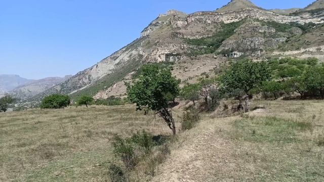 Кемпинг Фазенда. Гуниб