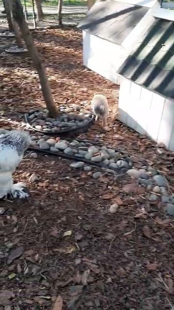 Я в Троя Парке