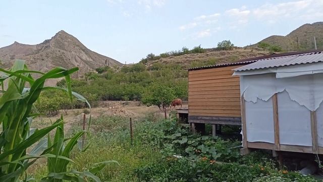 Кемпинг Горный Ветер. Гуниб