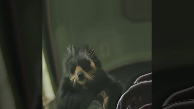 шедеврум.mp4