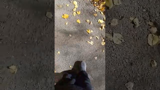 опять гуляем