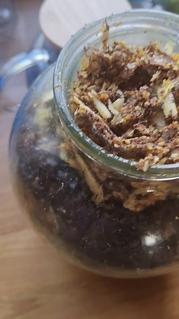 ПЖВМ Как я далаю восковую моль