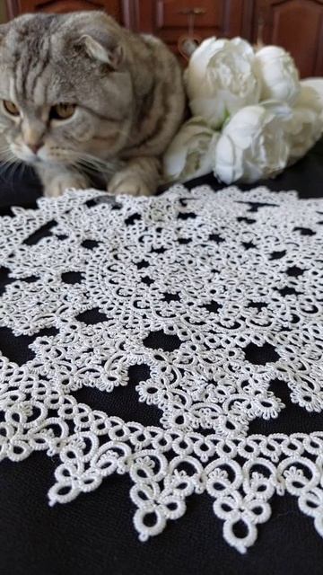 E2f19af20fb76fa93d62cdf0f2be4449