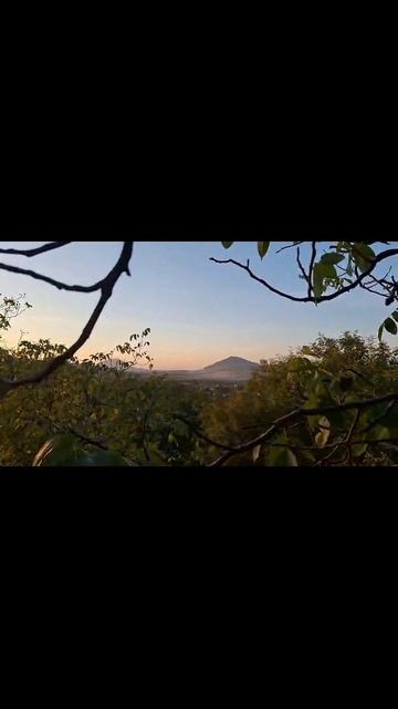 Обзорное видео