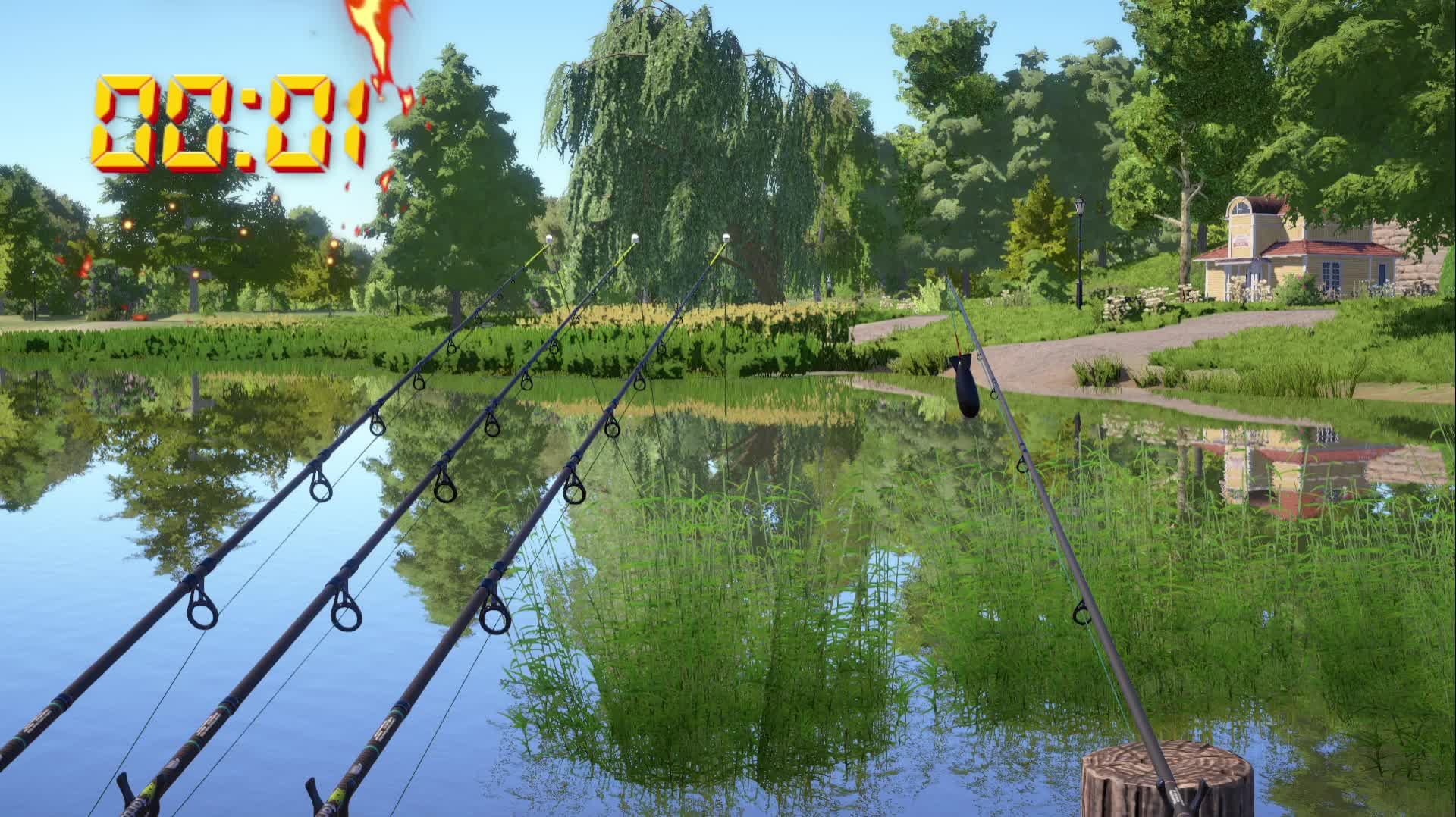 проверка чата