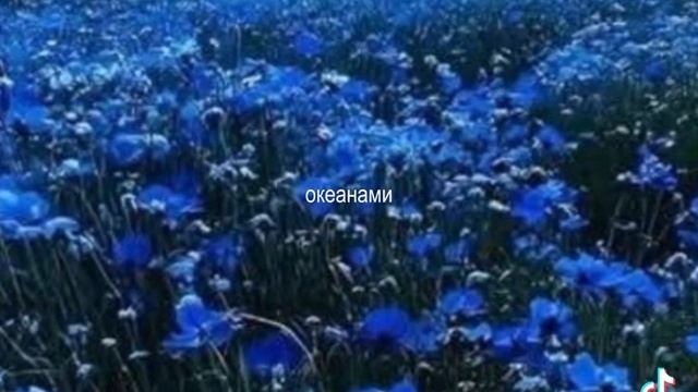 27.092025❤️✌️