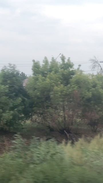 Поезд №512 С Новороссийск - Усинск 🚄 ASMR #поезд