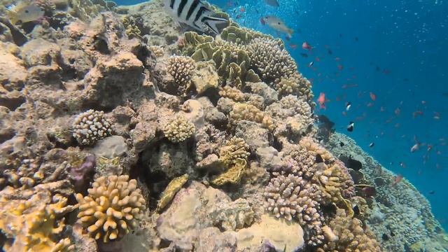 75b4ca8f7f7d7167933d47de1707c6a7