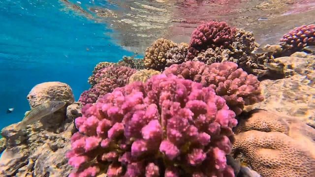 4a03a2500c158f618e5b0291942b7929